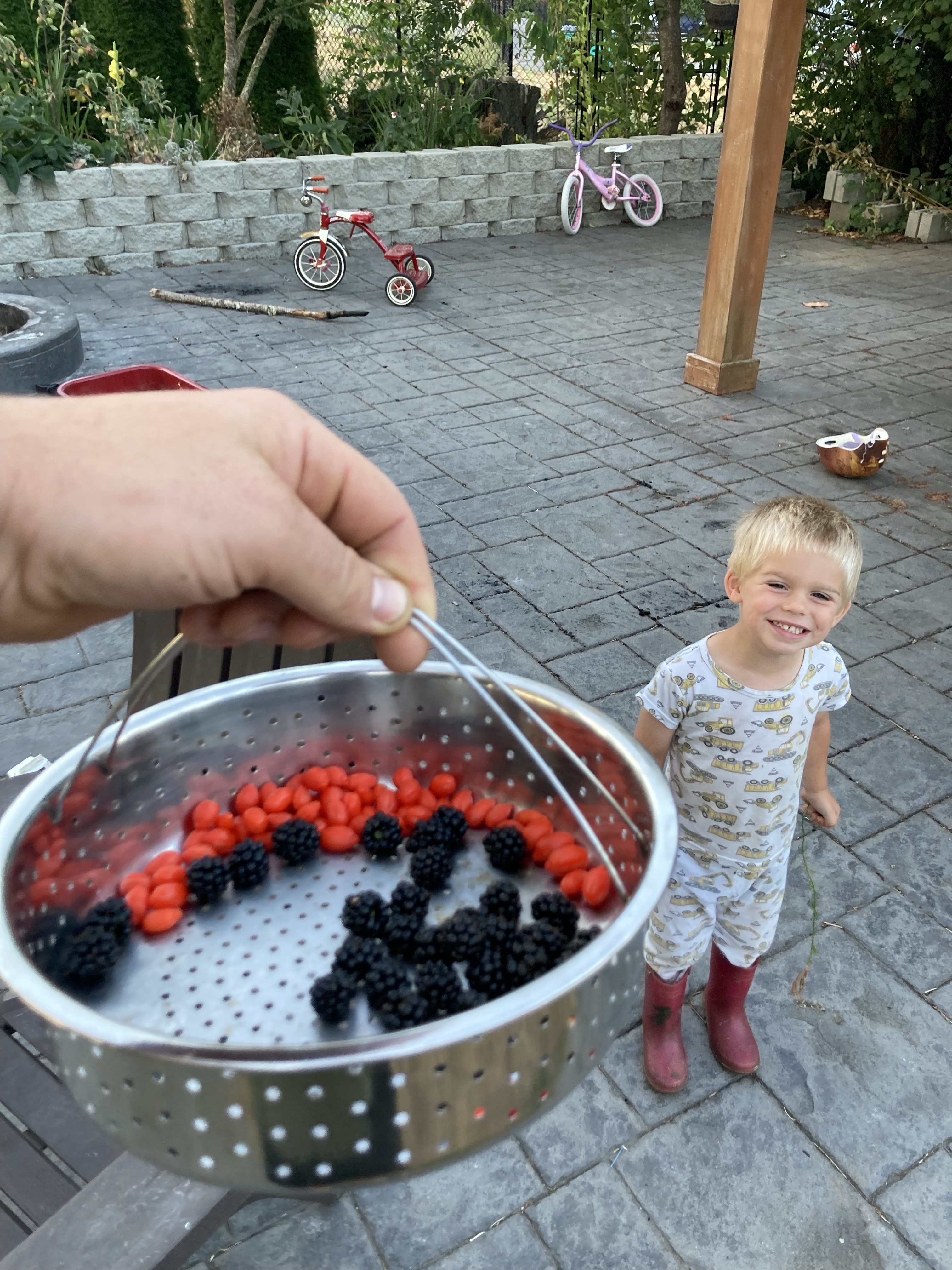 Some thoughts about Goji&nbsp;Berries