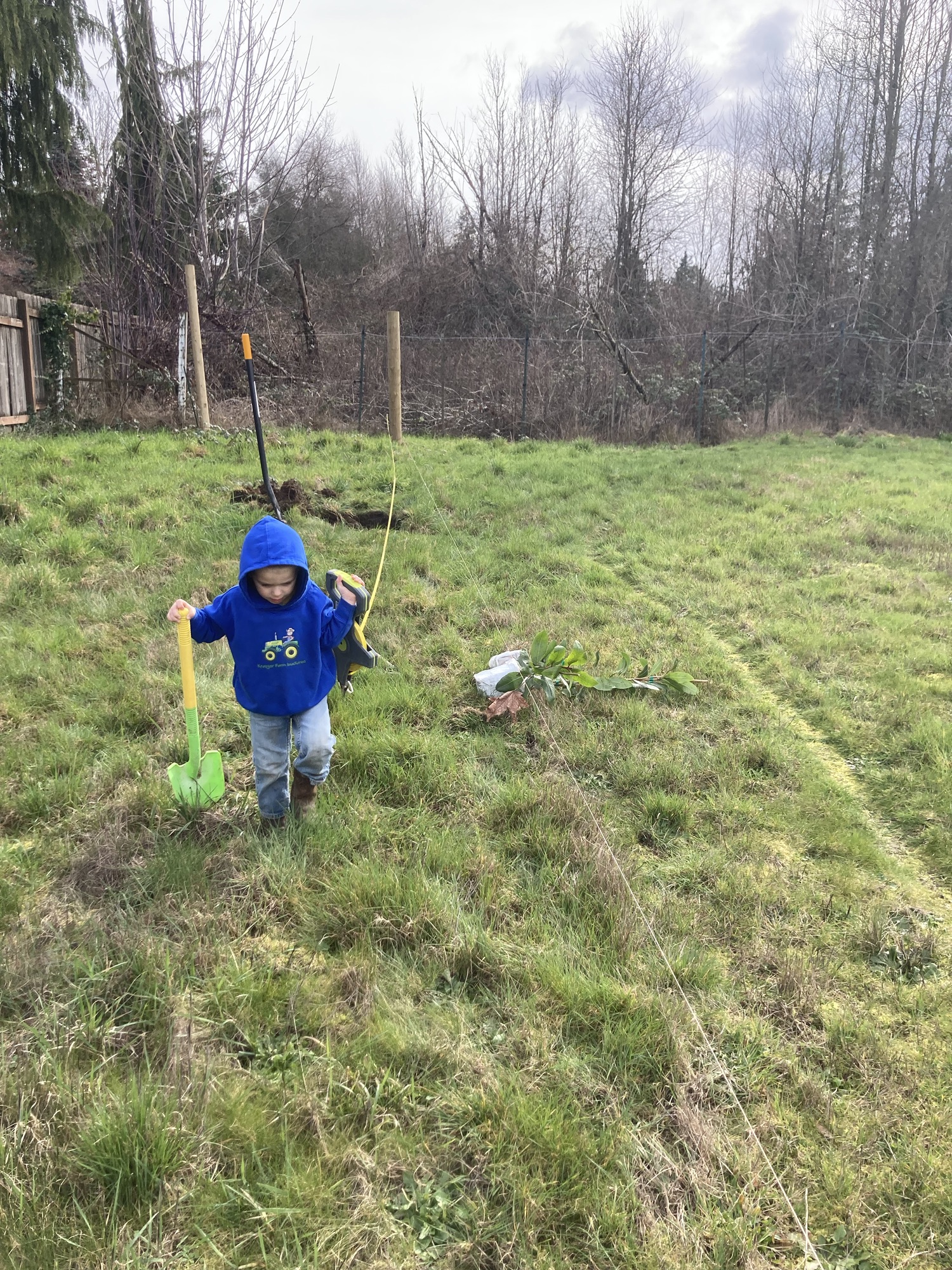 Strawberry Trees and&nbsp;Lingonberries