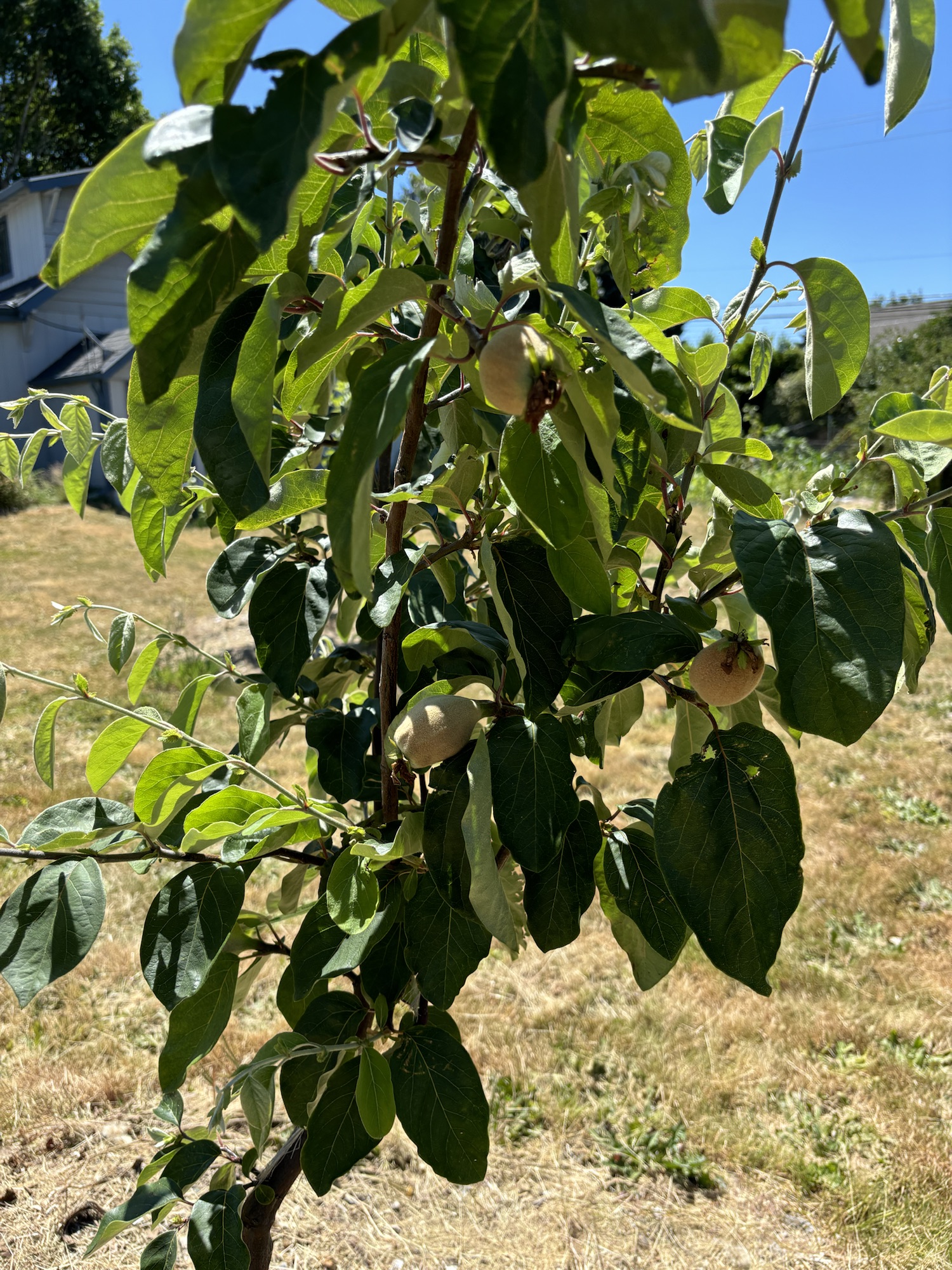 Well, I missed that&nbsp;one…