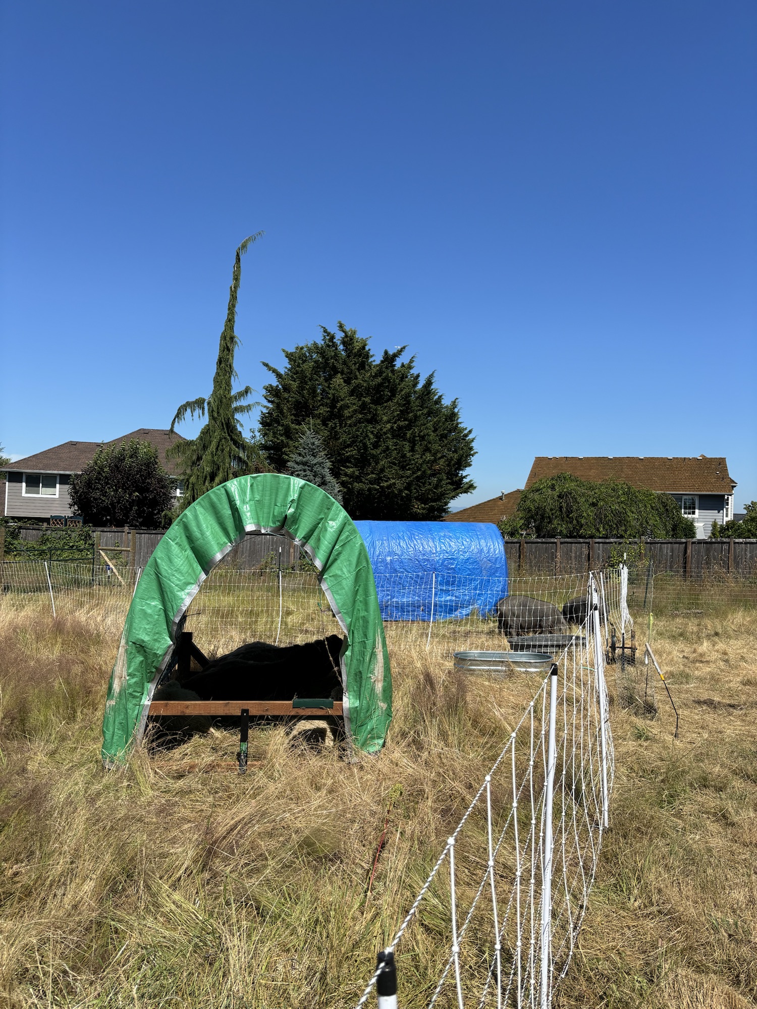 Some like it&nbsp;hot