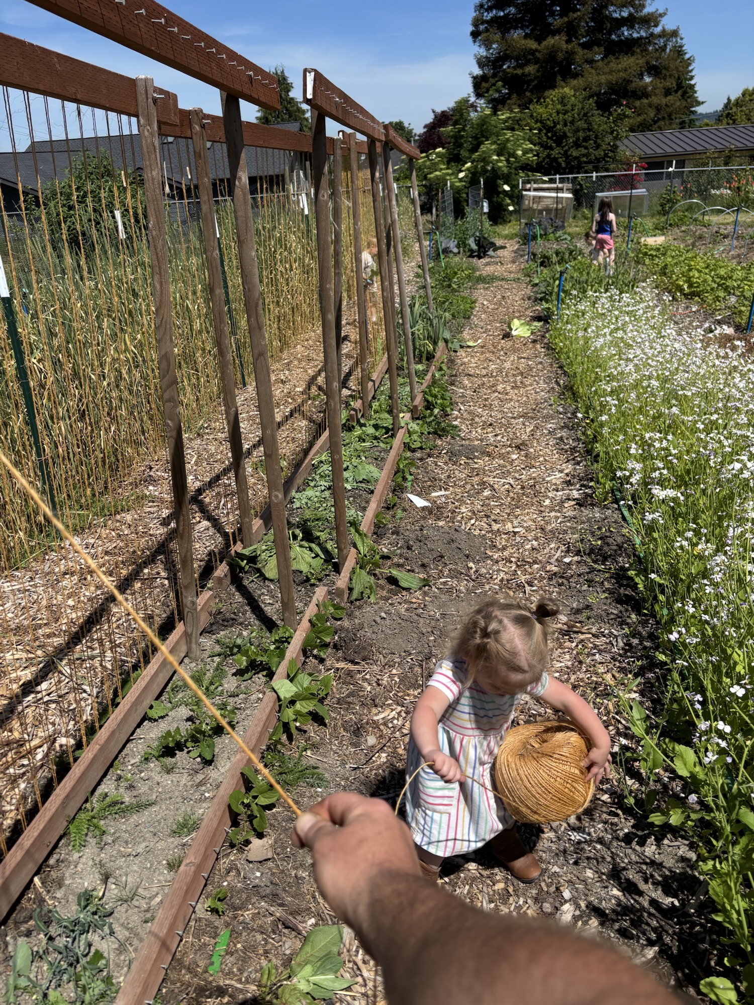 Garden and Orchard&nbsp;work