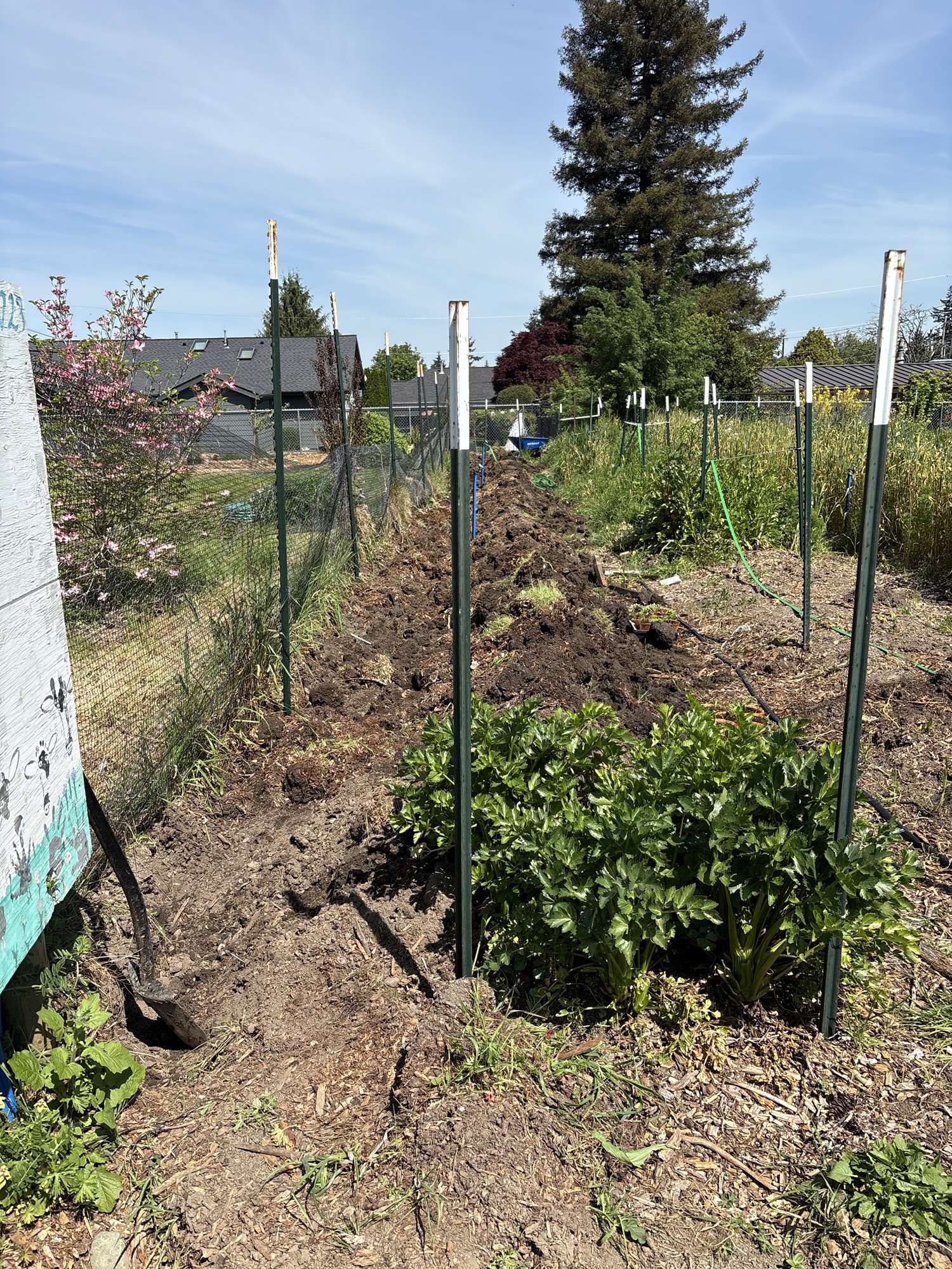 Food Forest Irrigation, Part&nbsp;1