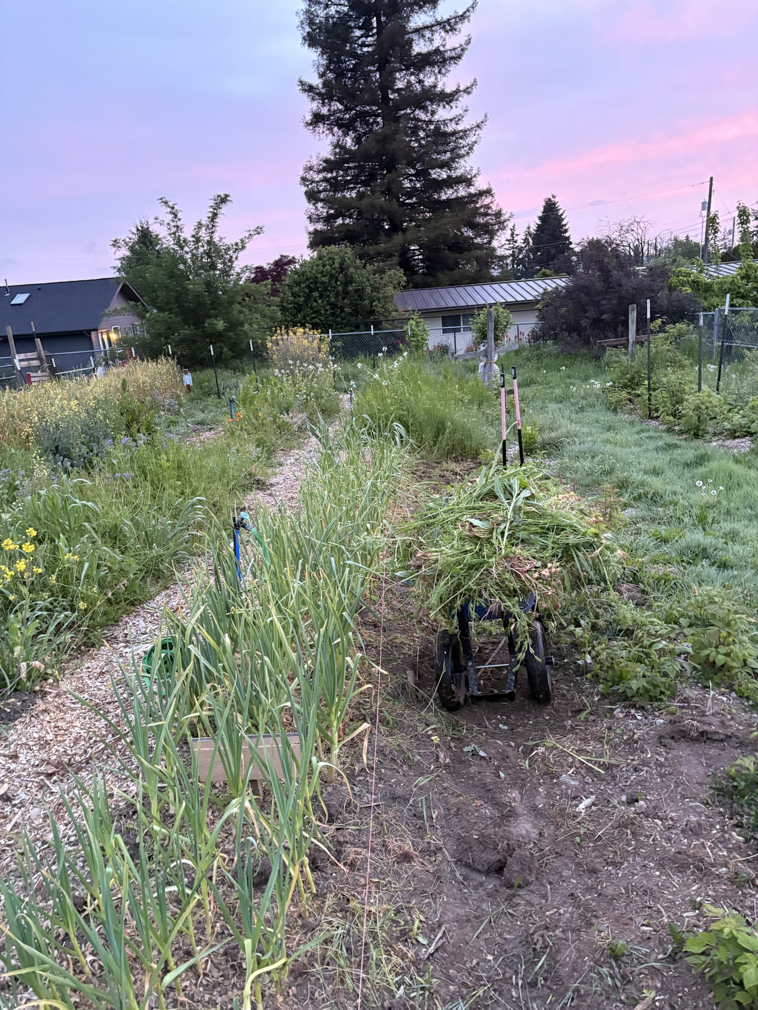 Slow Garden this&nbsp;Year