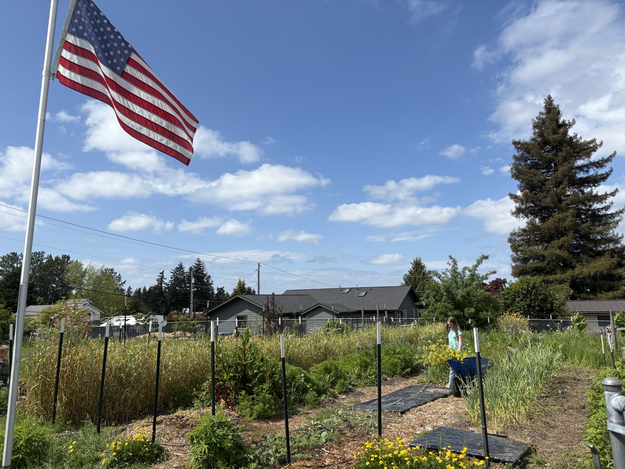 Food Forest Irrigation, Part&nbsp;2