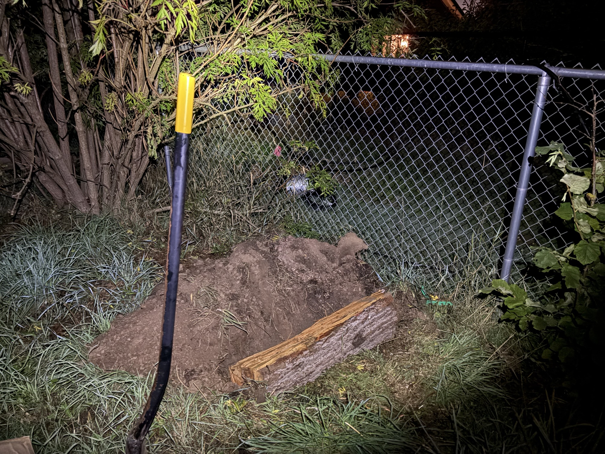 Starting Hugel Beds